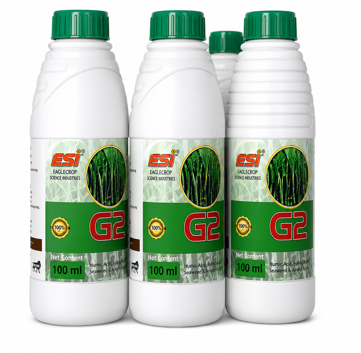 G2